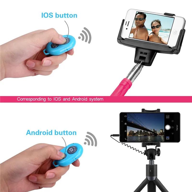https://ae-pic-a1.aliexpress-media.com/kf/HTB1CqiOSVXXXXanapXXq6xXFXXXz.jpg