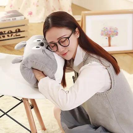 https://ae-pic-a1.aliexpress-media.com/kf/HTB1iOgrPVXXXXXhapXXq6xXFXXX6.jpg