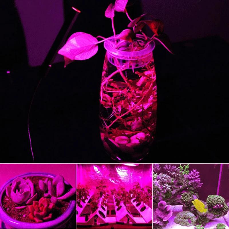https://ae-pic-a1.aliexpress-media.com/kf/Hcdbeb1661360438fbbde25be1c094318K.jpg