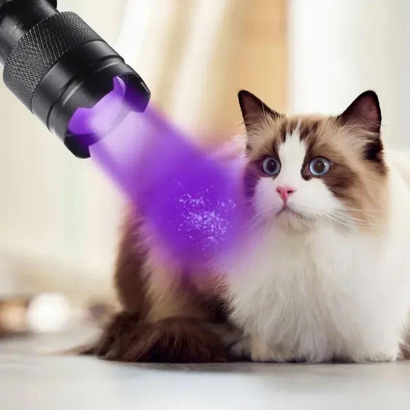 https://ae-pic-a1.aliexpress-media.com/kf/S3e542edb2ba04b9d870088a3a71e4232d.jpg