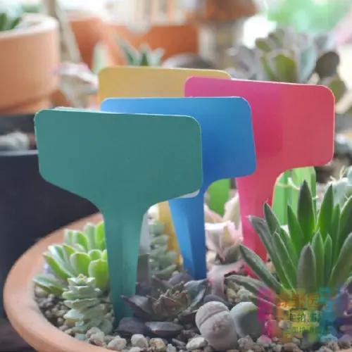 https://ae-pic-a1.aliexpress-media.com/kf/S4b7ac24244c44b34a3ca525d376824d5p.jpg