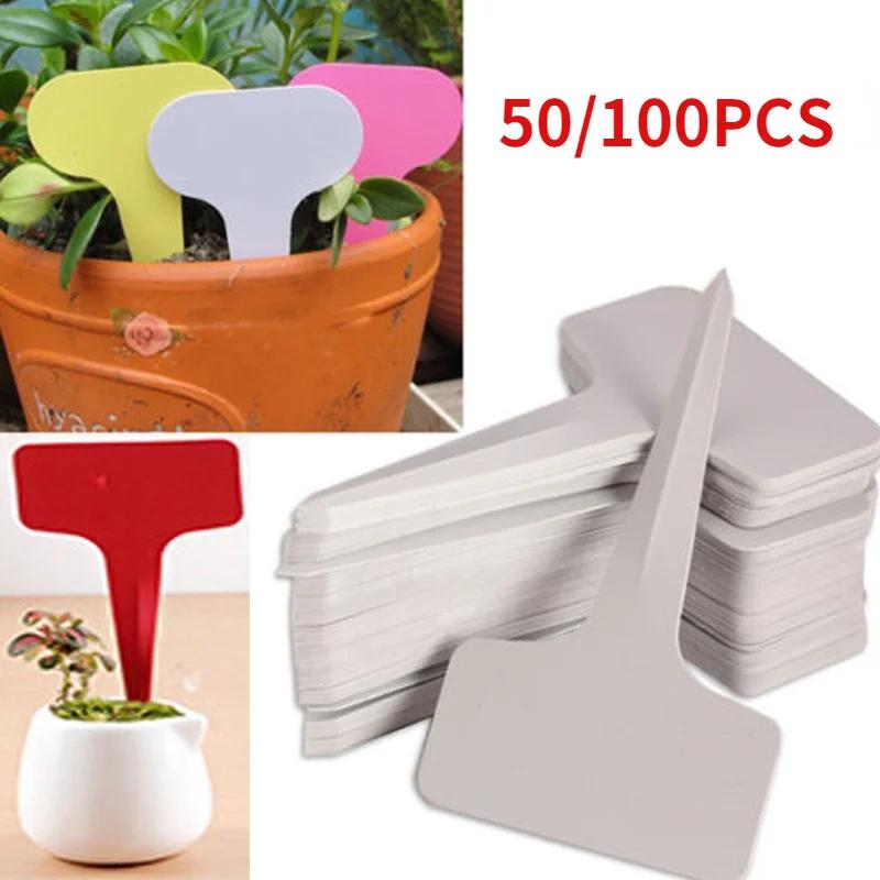 https://ae-pic-a1.aliexpress-media.com/kf/S823f50226b6c47dcb9e3be5b8eedf66f1.jpg