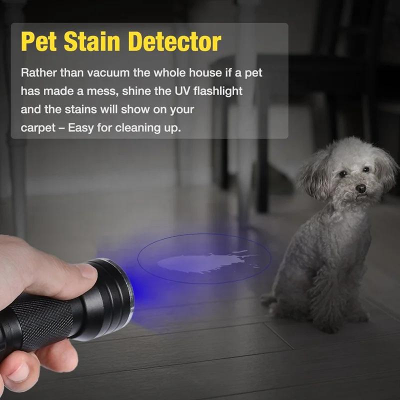https://ae-pic-a1.aliexpress-media.com/kf/Sd0751fe71e714ac2beb89907a2f9bafdt.jpg