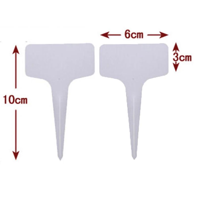 https://ae-pic-a1.aliexpress-media.com/kf/Sded5090eca314b69bef5a5db680c461aX.jpg