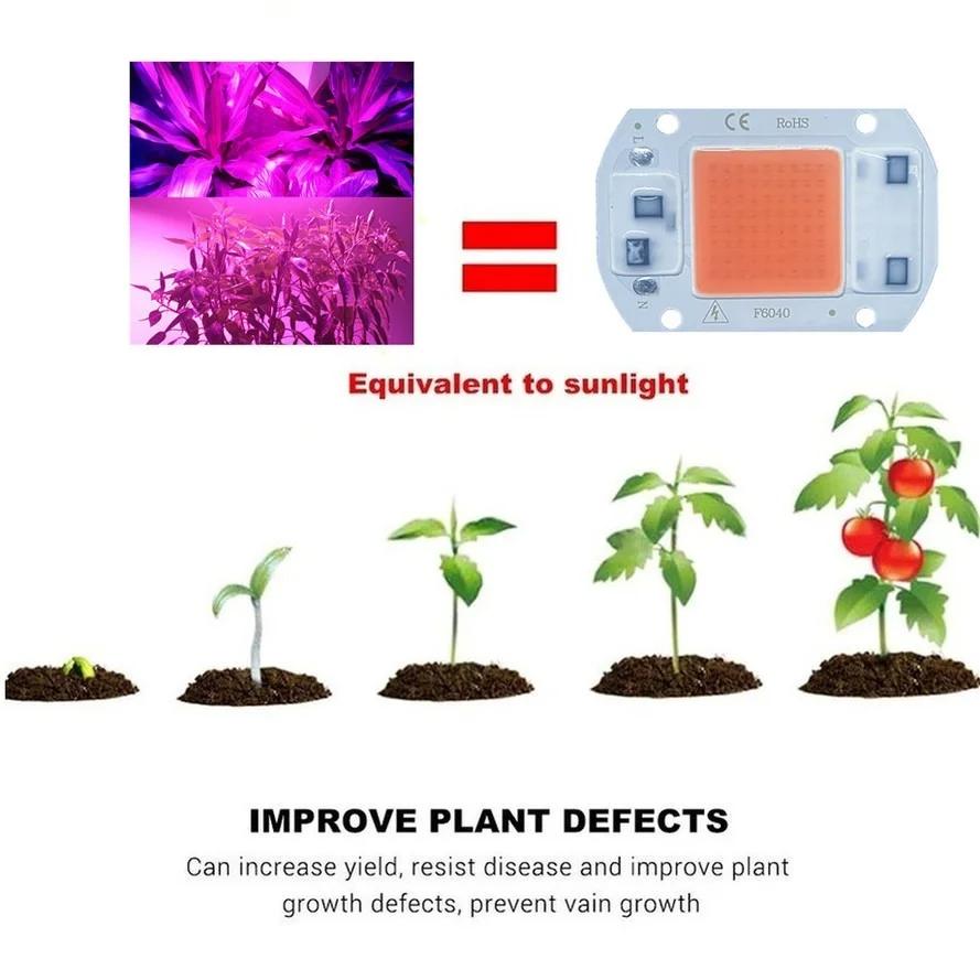 https://ae-pic-a1.aliexpress-media.com/kf/Sfce55fbcfa9945b98141b7f95bcd13bfV.jpg